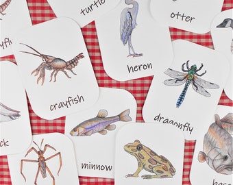 Pond Animals and Plants: three-part cards! Montessori-style flashcards, nomenclature cards, preschool printables, homeschool preschool