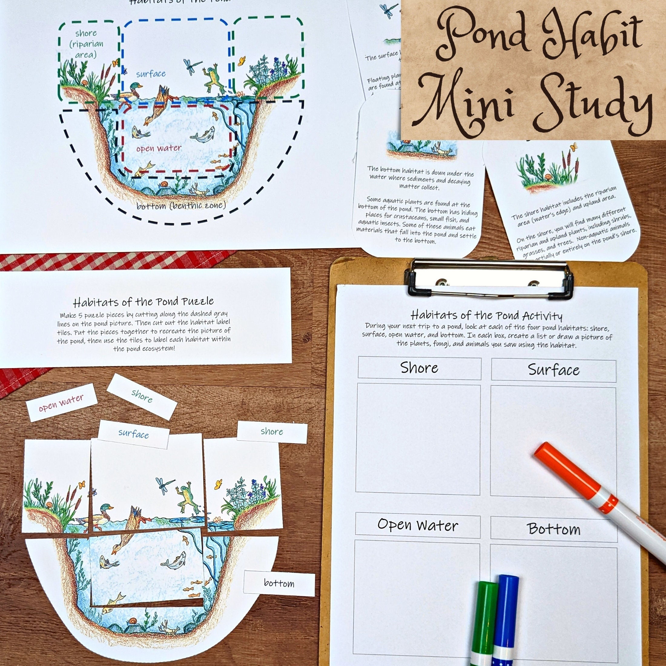 Pond Habitat Mini Study Science Activity Pack Homeschool Etsy