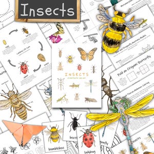 Puede incluir: Una colección de hojas de actividades educativas sobre insectos con ilustraciones en acuarela de abejas, mariposas, libélulas y mariquitas, incluyendo el texto Insects, A Wild Earth Lab unit y diagramas sobre el ciclo de vida.