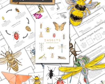 Insects Unit: classroom entomology study with metamorphosis & insect pollination (PDF Download)