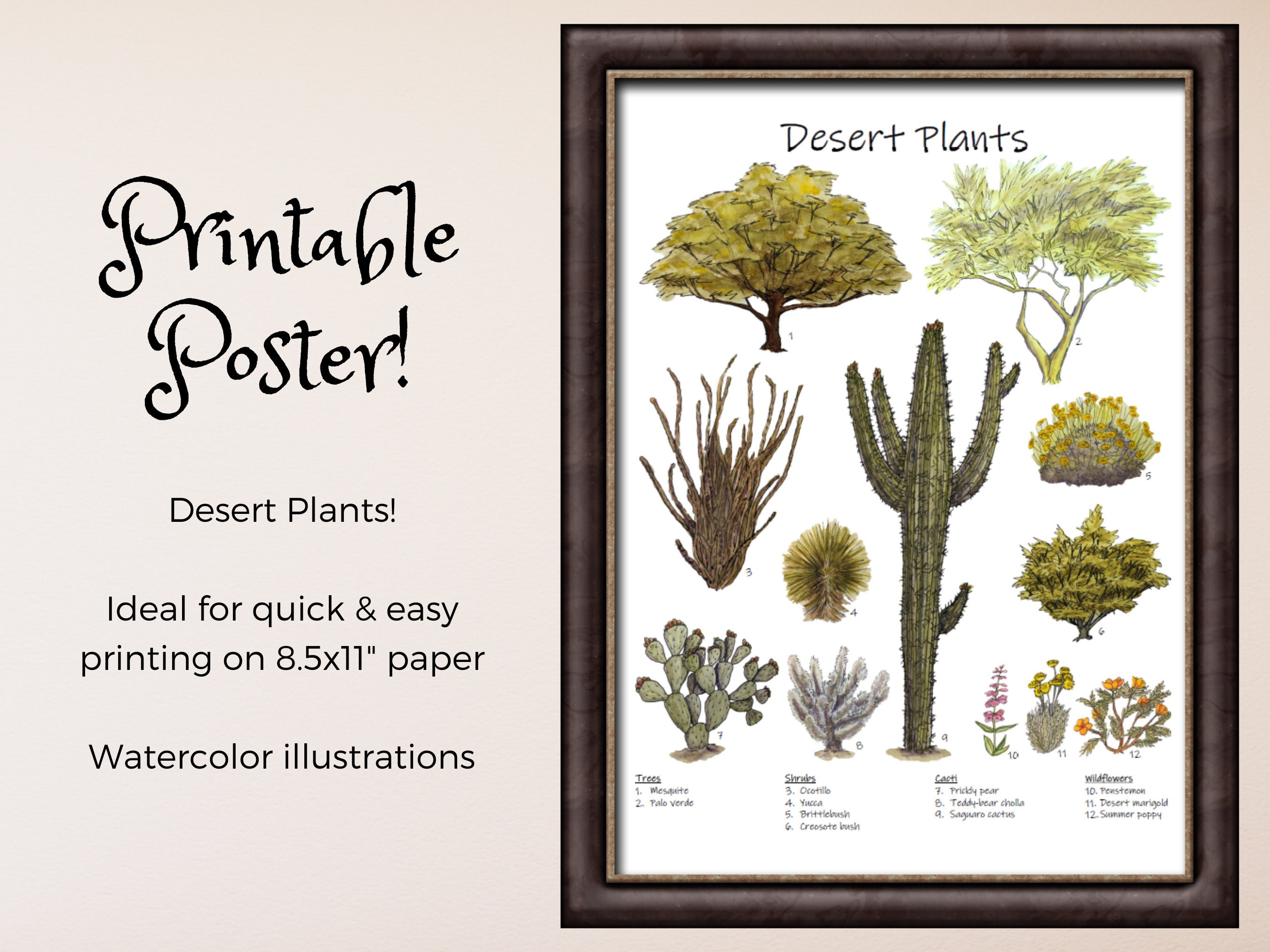 Desert Animals and Desert Plants: Classroom Poster Set, Homeschool ...