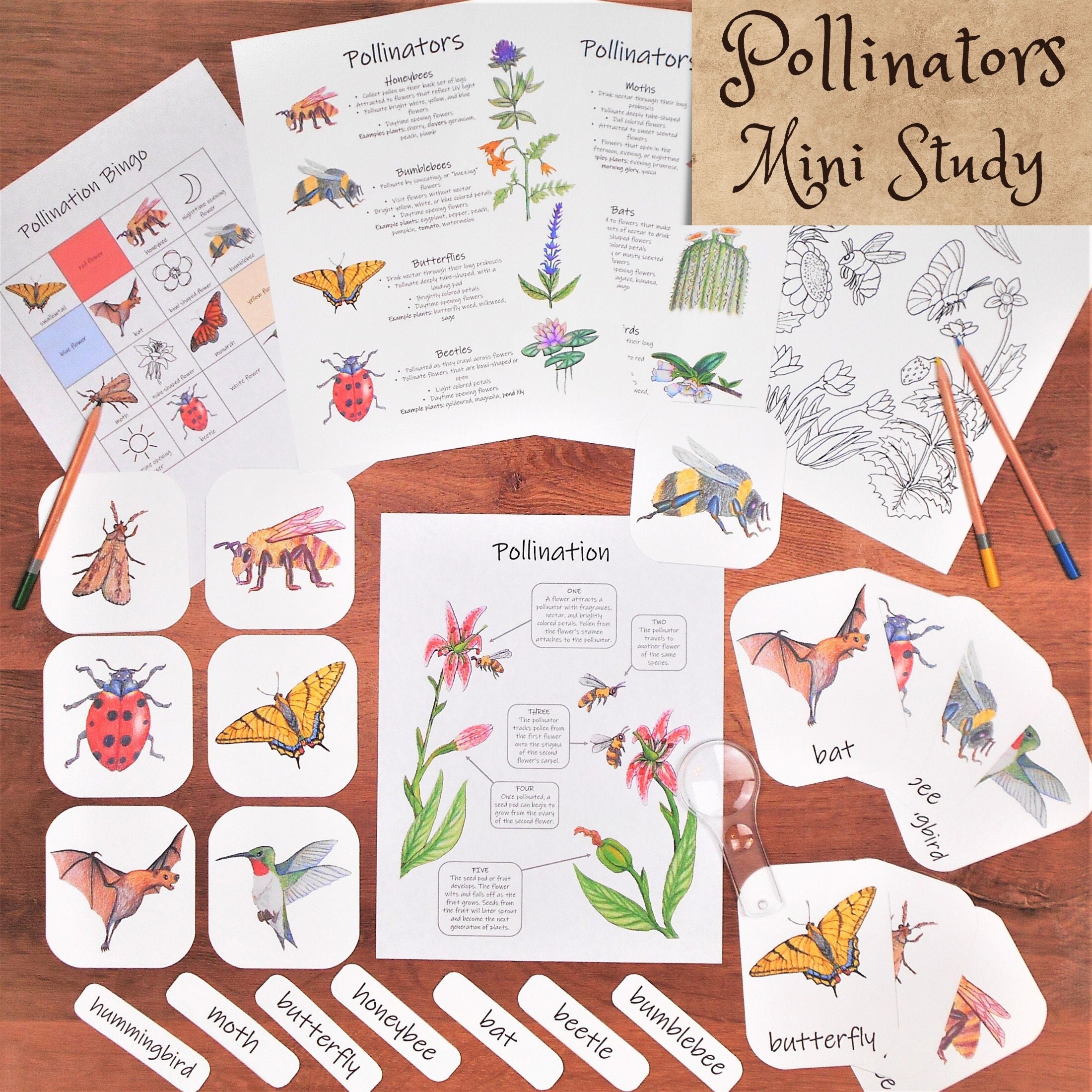 Monthly Garden Journal Printable PDF Perfect for Pollinator, Wildlife and  Native Plant Gardens. 