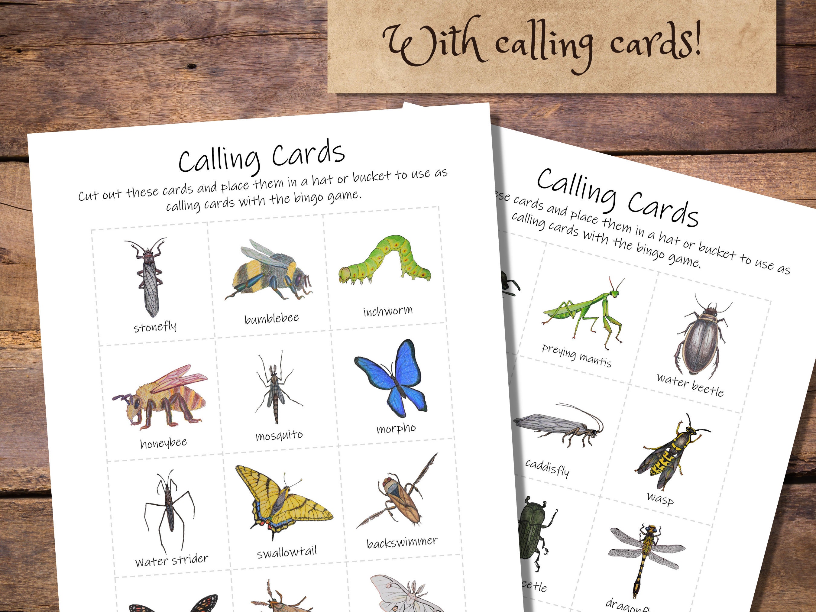 Insect Bingo Set: 20 Unique Bingo Cards With Calling Cards Class Party ...