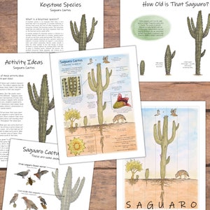 Saguaro Cactus: classroom set with posters, readings, & activities! Nature study, homeschool unit, classroom decor, nature curriculum