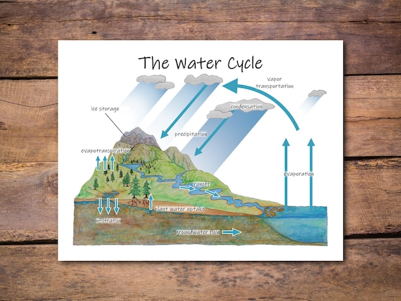 The Water Cycle Diagram: Printable Classroom Poster Earth - Etsy UK