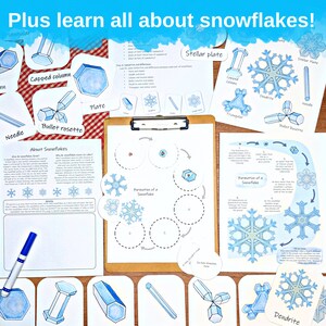 Geometry in the Snow: a winter math unit study 3D shapes, volume, symmetry, and snowflakes lesson plan zdjęcie 5