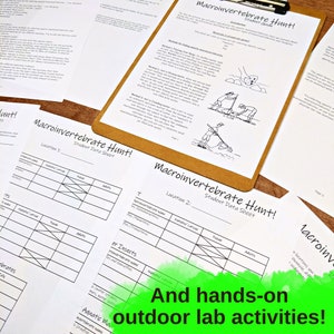 Aquatic Ecology: Macroinvertebrates Unit - Homeschool Science (PDF) - Etsy