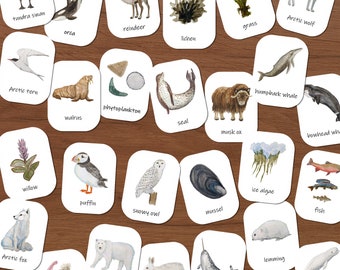 Arctic Ecosystem: three-part cards! Montessori school, forest school, homeschool preschool, nomenclature cards, arctic animals, nature study