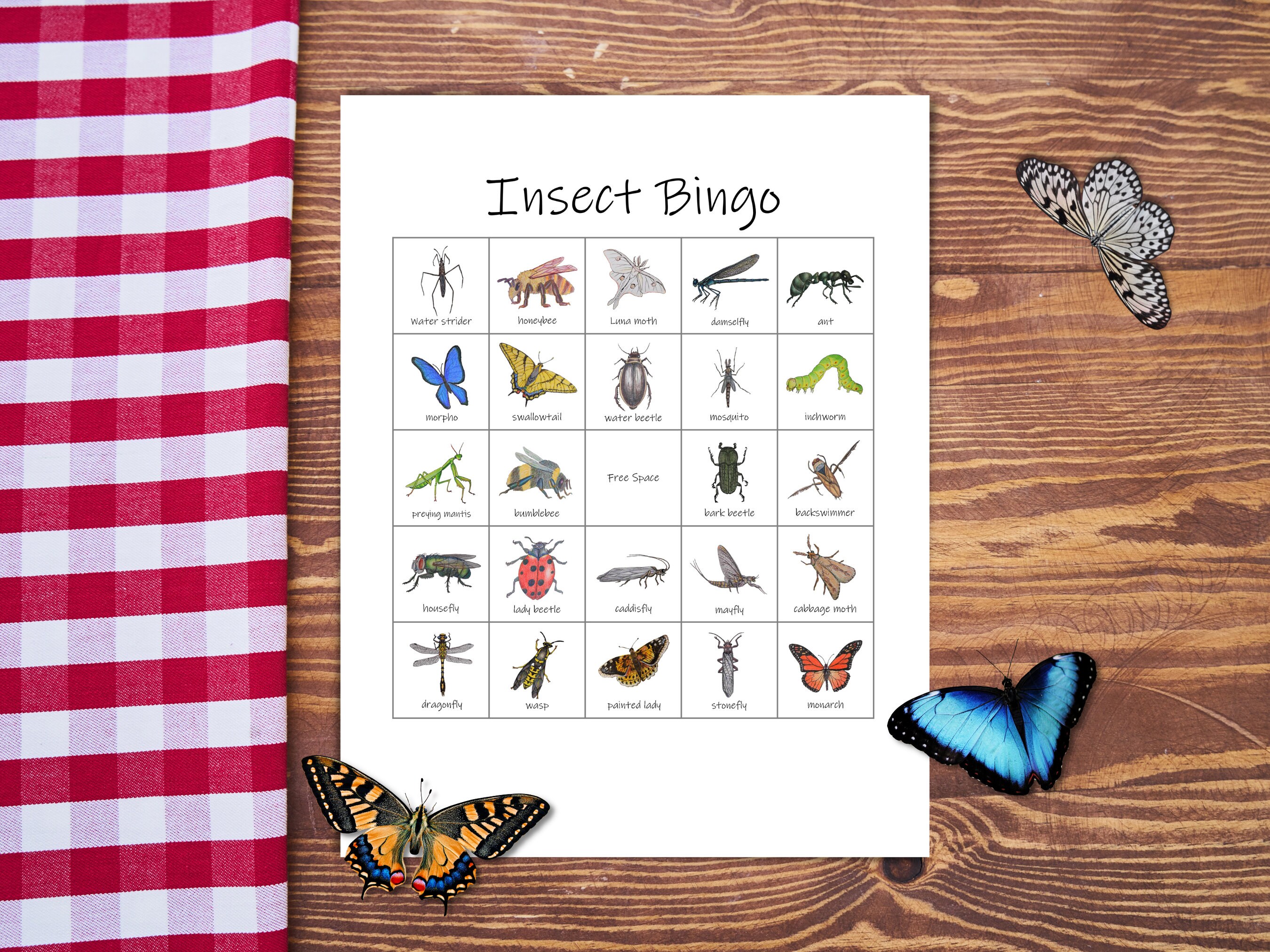 Insect Bingo Set: 20 Unique Bingo Cards With Calling Cards Class Party ...