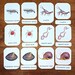 Aquatic Macroinvertebrates Flashcards: Ecology Study Printables (PDF ...