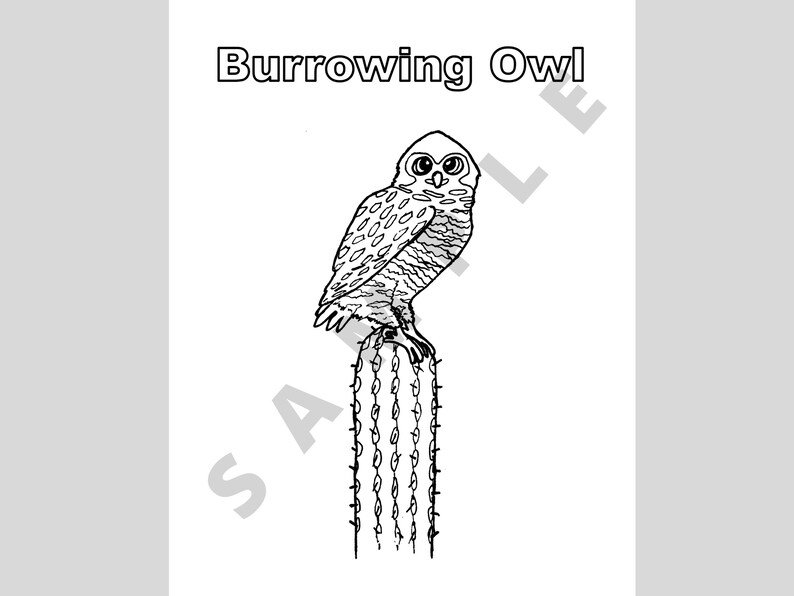 Burrowing Owl Coloring Page: Owl on Cactus Printable Coloring - Etsy