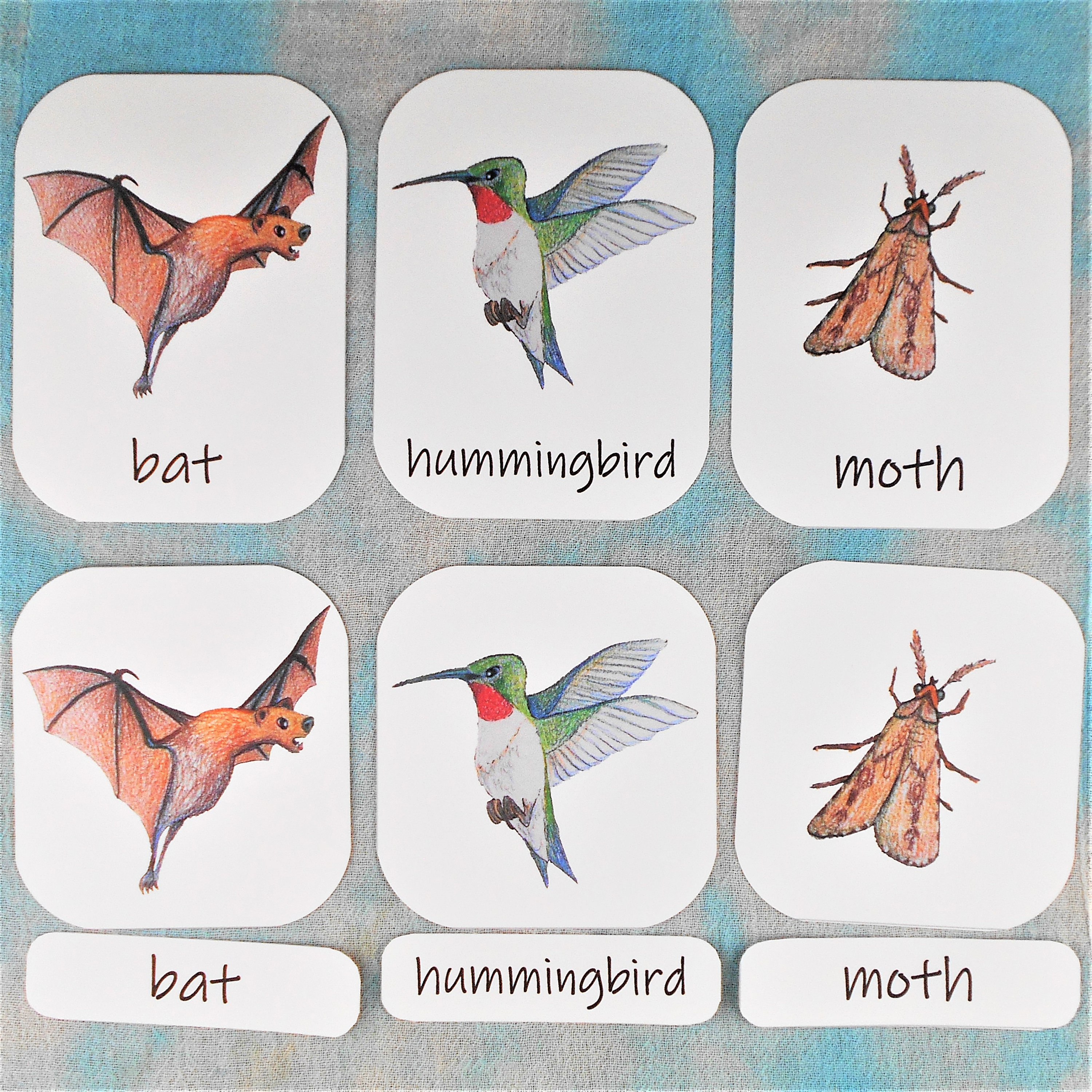 Flash Cards Pollination Pollination Mini Study: 3-part Montessori Cards Classroom - Etsy UK