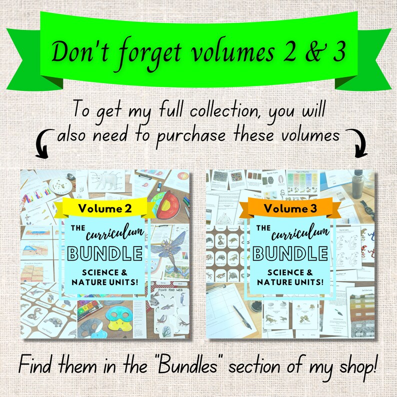 The Curriculum Bundle Vol. 1: My collection of environmental science units Classroom bundle, homeschool unit studies, science lesson plans image 7