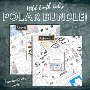 May include: A bundle of educational materials titled "Wild Earth Lab's POLAR BUNDLE!" featuring two complete units. The units cover the Arctic and Antarctica, with illustrations of polar animals and educational text. The text includes "Arctic" and "Antarctica".