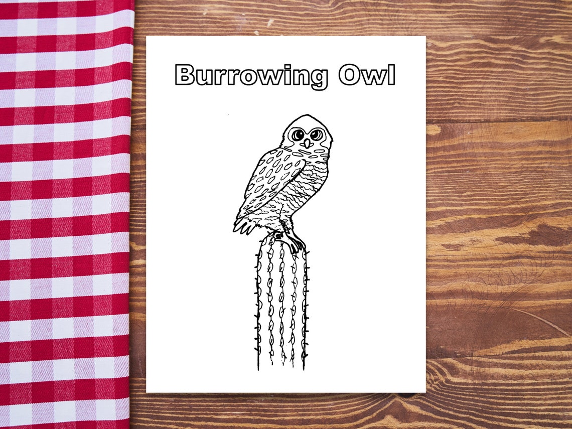 Burrowing Owl Coloring Page: Owl on Cactus Printable Coloring - Etsy