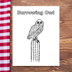 Burrowing Owl Coloring Page: Owl on Cactus Printable Coloring - Etsy