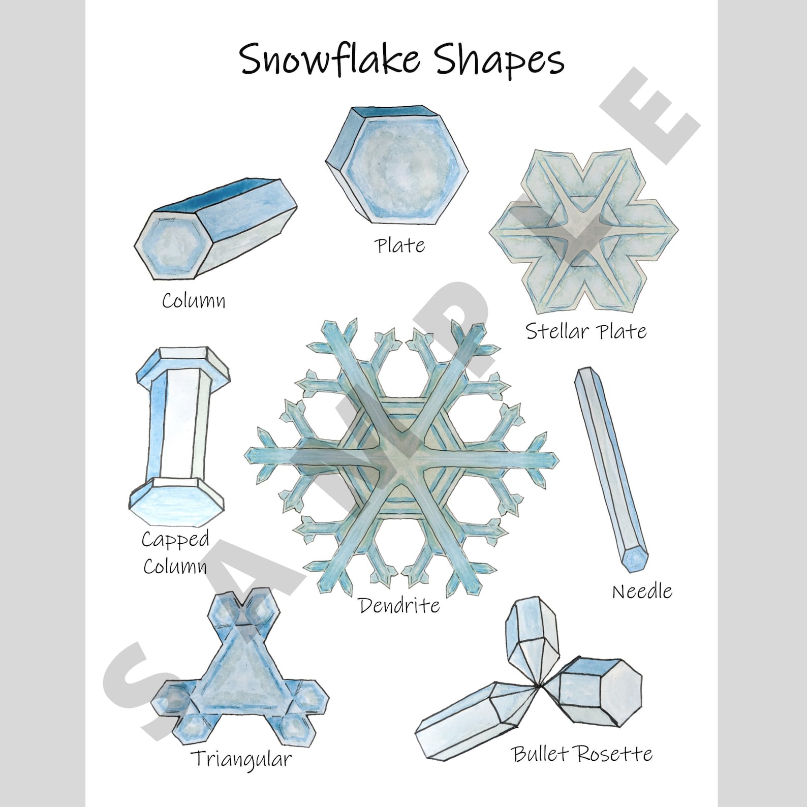 Snowflake Types Images Snowflake Types Poster: Winter Classroom Decor, Homeschool Print (PDF ...
