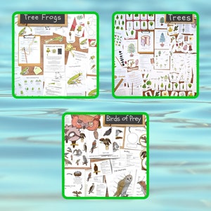 The Curriculum Bundle Vol. 1: My collection of environmental science units Classroom bundle, homeschool unit studies, science lesson plans image 3