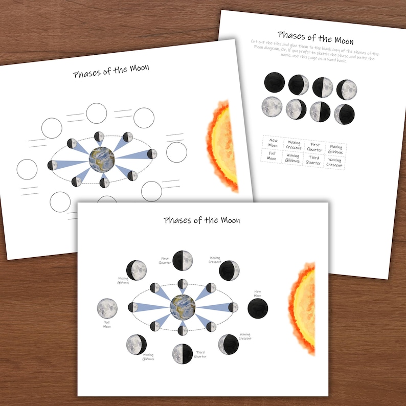 Moon Phases Study: Astronomy Worksheets & Flashcards (PDF Download) - Etsy