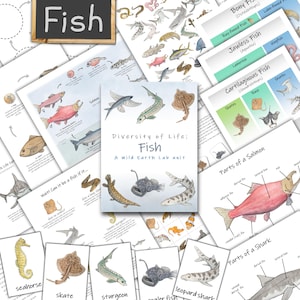 May include: Educational materials about fish, including diagrams and illustrations of various species. The image features a chalkboard with the word "Fish," along with flashcards and informational sheets about different types of fish.