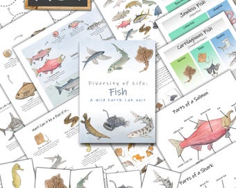 Fish Unit: Printable Handouts, Flashcards, & Activities (PDF Download)