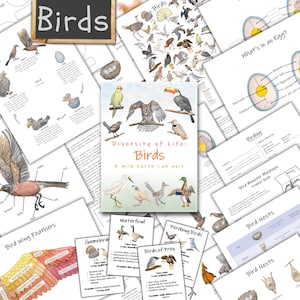 May include: Educational materials about birds, including diagrams, illustrations, and a title card that reads "Birds." The materials cover topics like bird anatomy, eggs, nests, and different bird types, such as waterfowl and birds of prey.