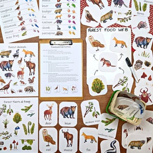 Forest Ecosystem: a mini nature study! forest school, nature preschool, elementary school, homeschool unit, ecology for kids, animal tracks