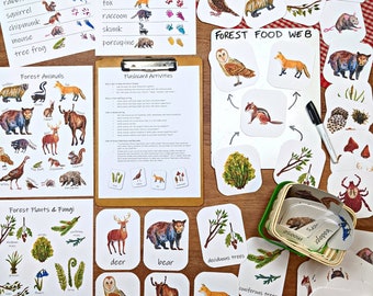 Forest Ecosystem: a mini nature study! forest school, nature preschool, elementary school, homeschool unit, ecology for kids, animal tracks