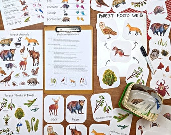 Forest Ecology Classroom Printables: Animals, Plants, Fungi (PDF Download)