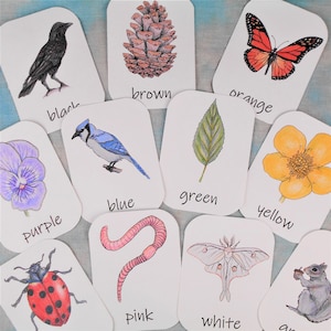 Nature Preschool Color Flashcards: three-part cards, homeschool preschool, forest school, Montessori preschool, nature study