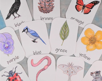 Nature Color Flashcards: Montessori Homeschool Printable (PDF Download)