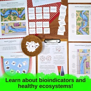 Aquatic Ecology: Macroinvertebrates Unit lesson plan, classroom materials, homeschool unit study, science activities, nature study image 4