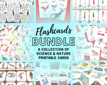 Flashcards Bundle: every flashcard set and three-part card set in my shop in one bundle! 13 nature & ecology themed flashcard sets
