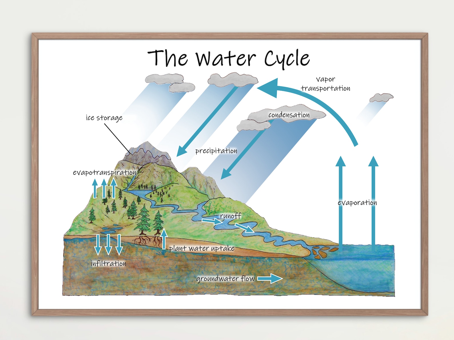 The Water Cycle Diagram: Printable Classroom Poster, Earth Science ...