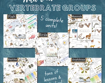 Vertebrate Groups Bundle: 5 classroom units on amphibians, birds, fish, mammals, and reptiles (PDF Downloads)