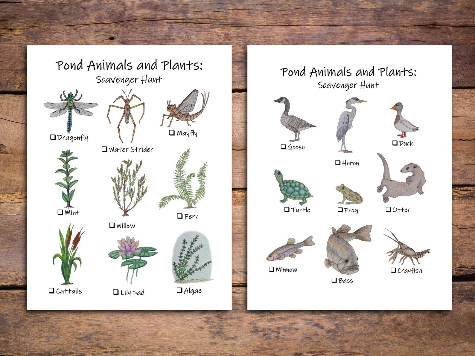 Pond Scavenger Hunt Printable Game for Kids Wetland Field Etsy