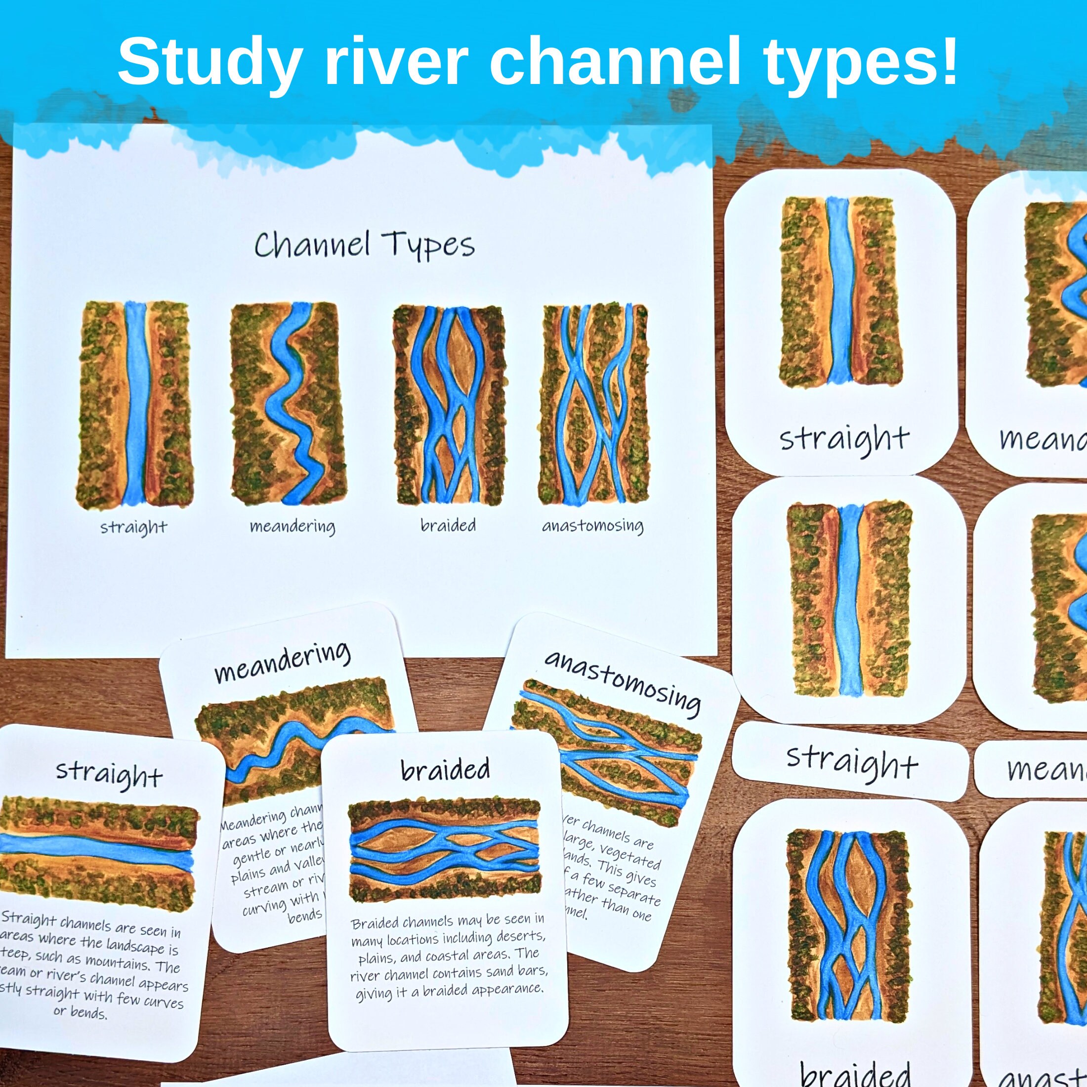 Stream Anatomy Study: Diagrams, Flashcards, Vocab (PDF Download) - Etsy