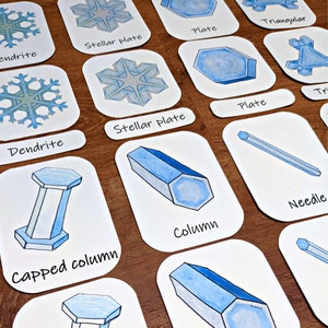 Snowflake Flashcards: snowflake shapes three-part cards - types of snowflakes for winter classrooms and homeschool nature study