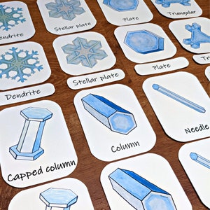 Snowflake Shape Flashcards: three-part cards, types of snowflakes, winter classroom, homeschool printables