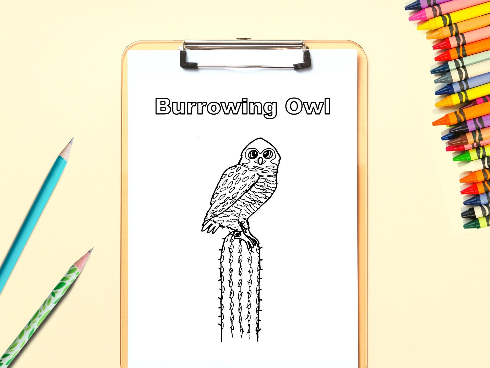Burrowing Owl Coloring Page: Owl on Cactus Printable Coloring - Etsy