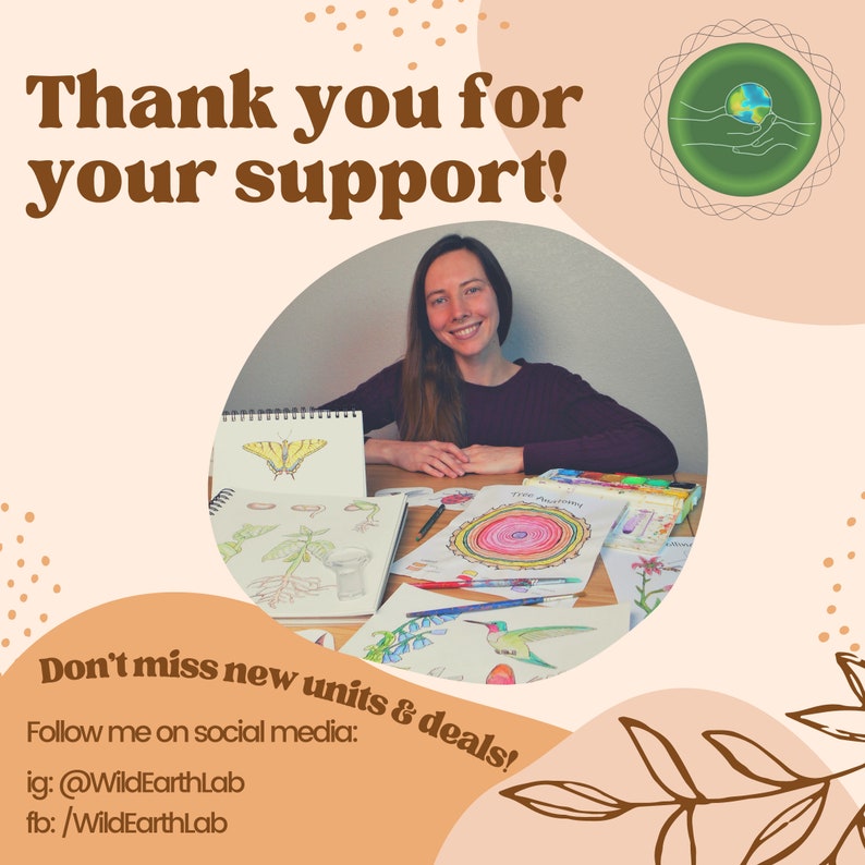 May include: A woman smiles at the camera while sitting at a table with art supplies and drawings. The text "Thank you for your support!" is at the top of the image. The text "Don't miss new units & deals! Follow me on social media: ig: @WildEarthLab fb: /WildEarthLab" is at the bottom of the image.