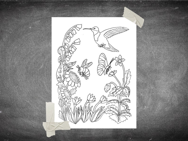 Pollination Coloring Page: Printable Pollinators Coloring for - Etsy