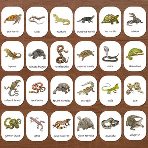 Tarjetas de tres partes sobre reptiles: tarjetas didácticas de nomenclatura, educación preescolar en casa, escuela Montessori, escuela forestal, estudio de la naturaleza, tipos de reptiles
