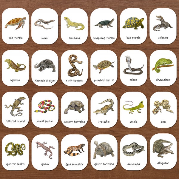Cartes en trois parties sur les reptiles : cartes-éclair de nomenclature, école maternelle à la maison, école Montessori, école de la forêt, étude de la nature, types de reptiles
