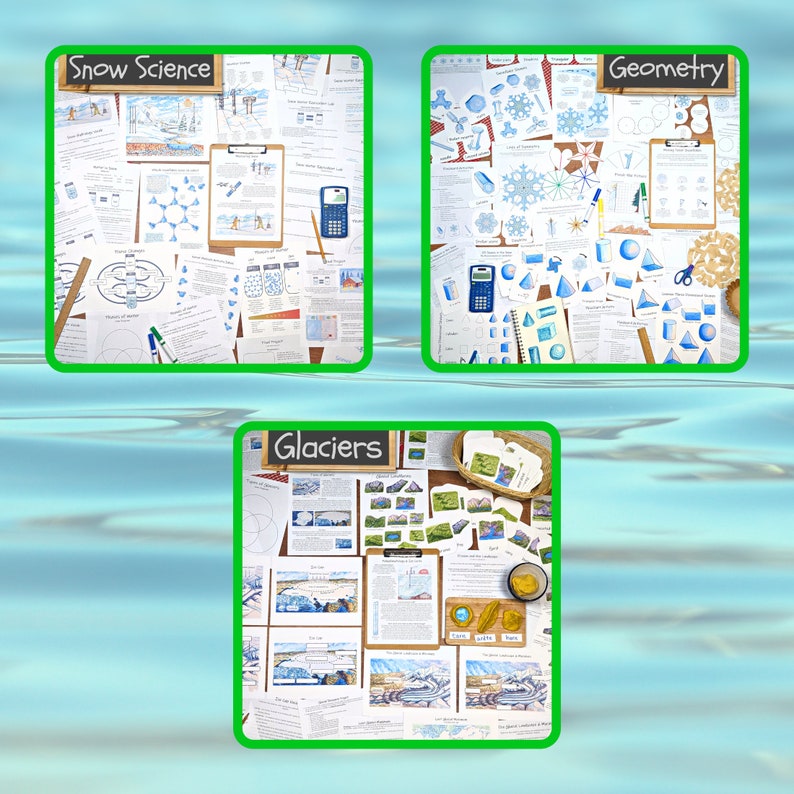 The Curriculum Bundle Vol. 1: My collection of environmental science units Classroom bundle, homeschool unit studies, science lesson plans image 6