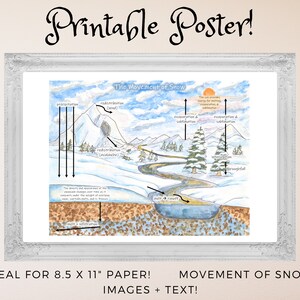 Movement of Snow Diagram: Winter Water Cycle, Snow in the Water Cycle ...