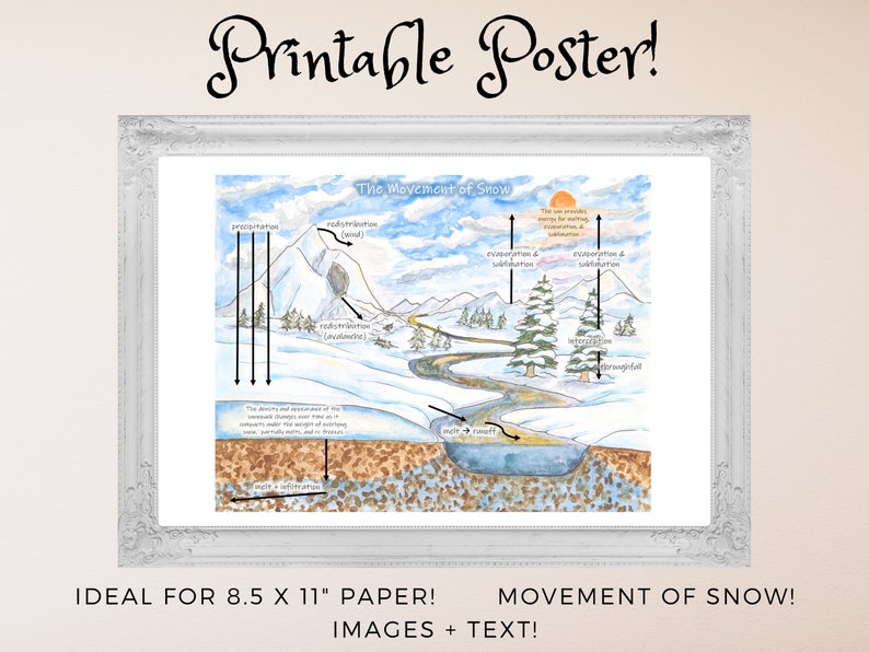 Movement of Snow Diagram: Winter Water Cycle Snow in the - Etsy