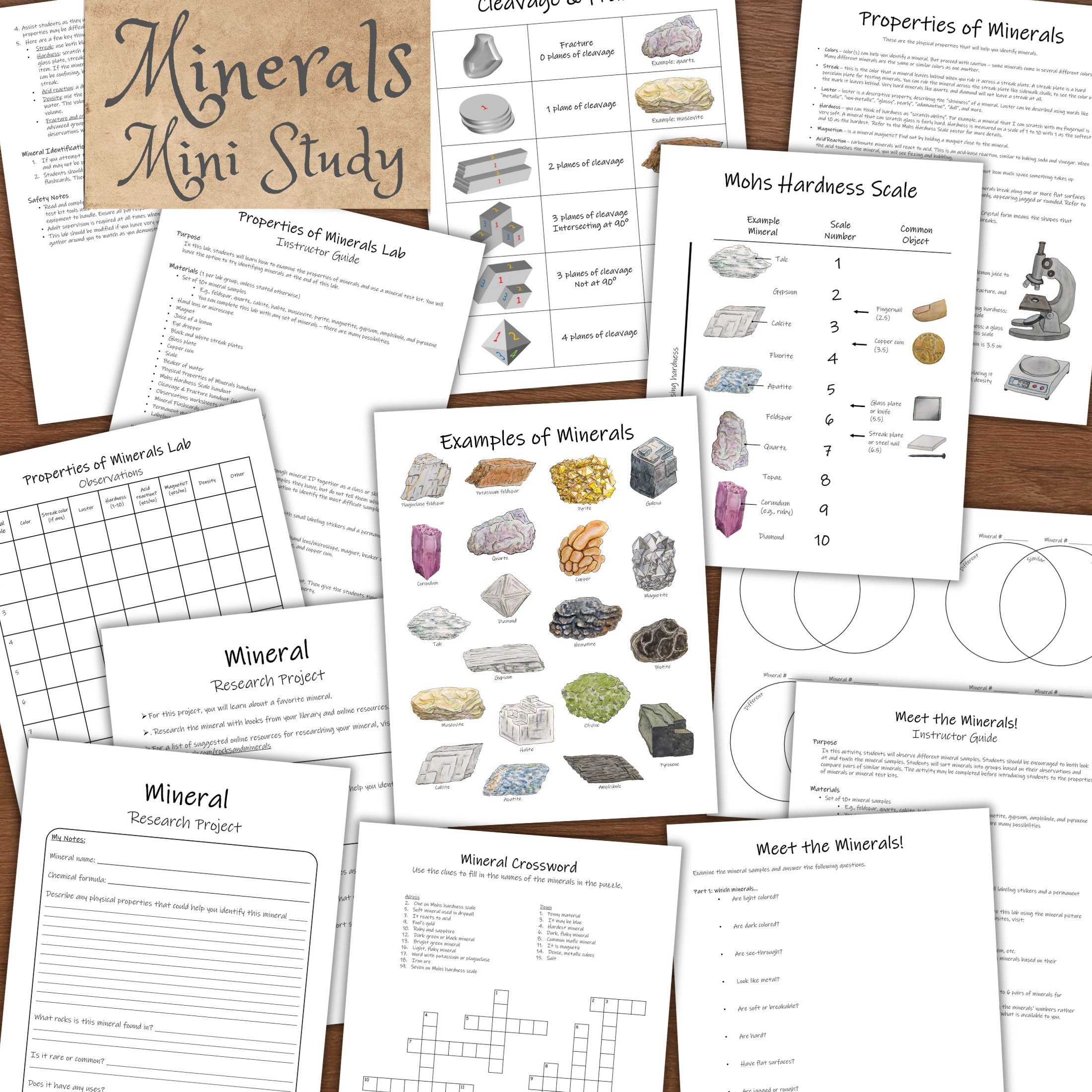 Minerals: Geology Mini Study With 2 Lab Activities! Nature Study, Science Lesson Plan ...
