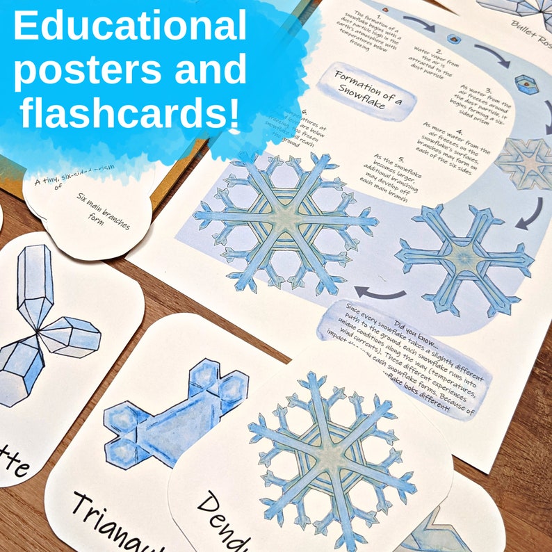 Geometry in the Snow: a winter math unit study 3D shapes, volume, symmetry, and snowflakes lesson plan zdjęcie 7