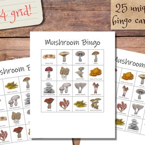 Mushroom Bingo Set: 20 einzigartige Bingokarten mit Visitenkarten! Klasse Partyspiel, Lageraktivität, Pilz zum Ausdrucken, Bingo zum Ausdrucken für Kinder